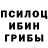 Галлюциногенные грибы GOLDEN TEACHER Nusmag