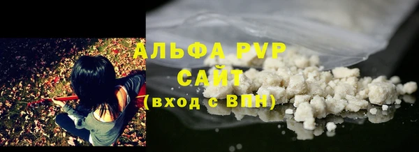 ECSTASY Белокуриха
