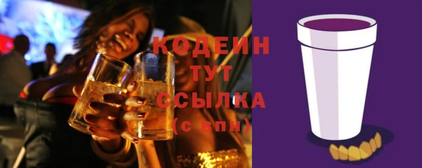 ECSTASY Белокуриха