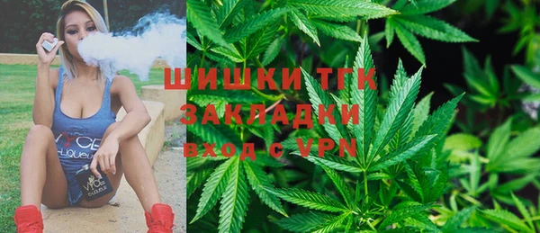 ECSTASY Белокуриха