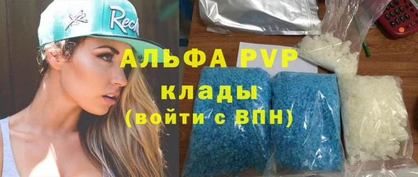 ECSTASY Белокуриха