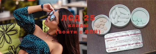ECSTASY Белокуриха